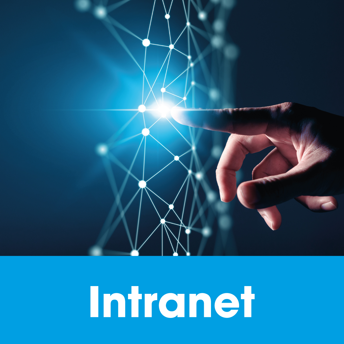 Intranet