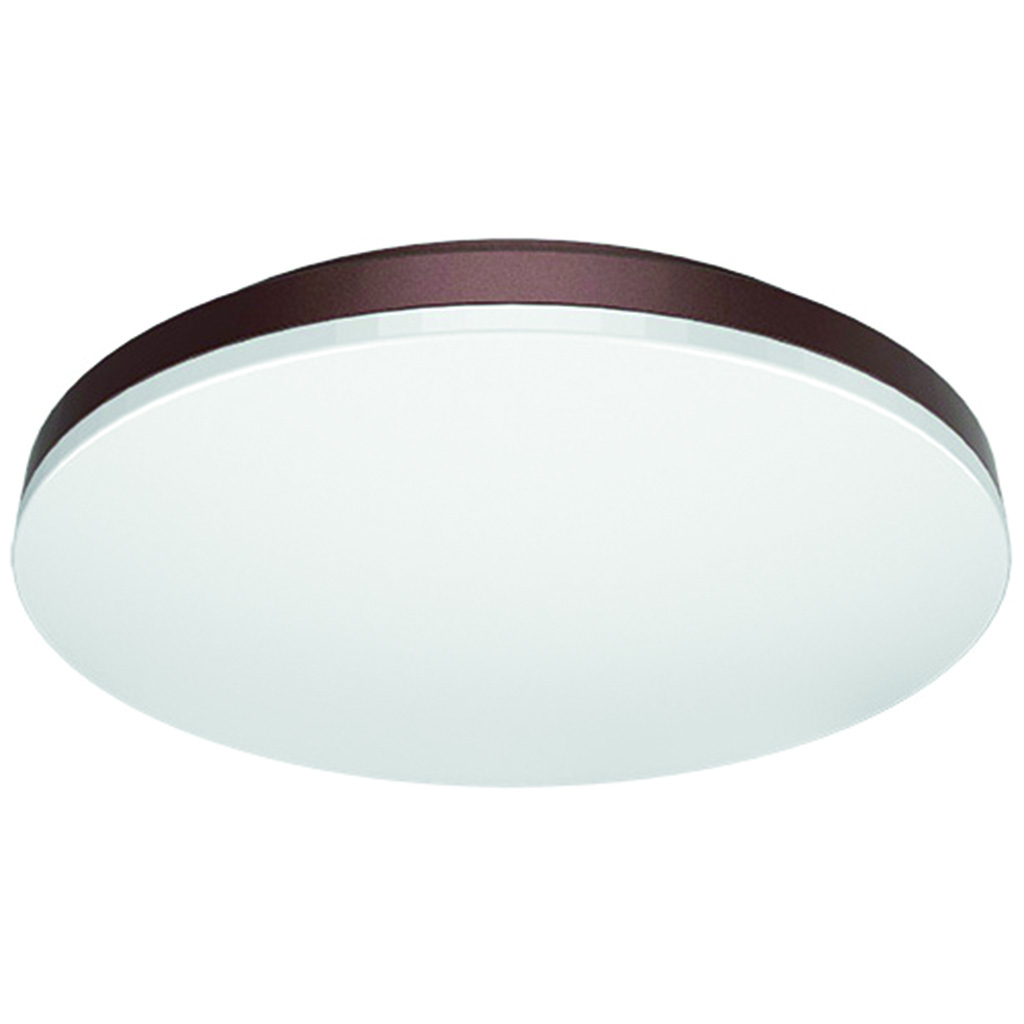 LUM INT/SOB LED 17W 100-240V 60K CHO CEILING 300 MAGG