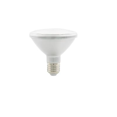 LAMP LED PAR30 E27 13W 100-240V 65K BCO TECNOLITE
