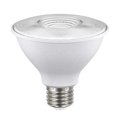 LAMP LED PAR38 E27 13W 100-240V 65K BCO AQUILA TECNOLITE