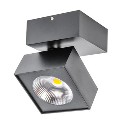 LUM INT SOB TECHO LED 13W 100-240V 30K NGO PING TECNOLITE