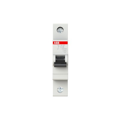 INT TERMOMAGNETICO RIEL DIN 1P 25A 120/240V 6KA CURVA C
