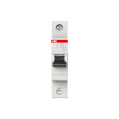 INT TERMOMAGNETICO RIEL DIN 1P 50A 120/240V 6KA CURVA C