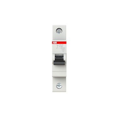 INT TERMOMAGNETICO RIEL DIN 1P 63A 120/240V 6KA CURVA C