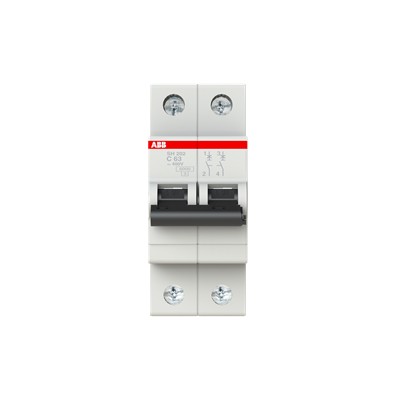 INT TERMOMAGNETICO RIEL DIN 2P 63A 120/240V 6KA CURVA C