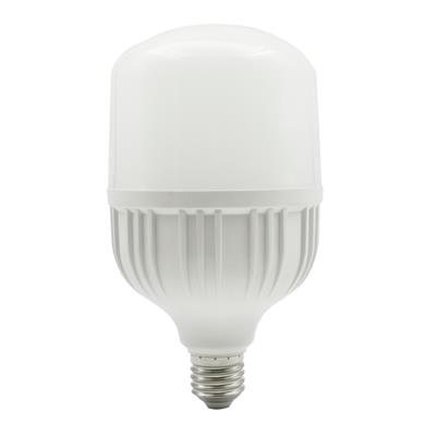 LAMP LED T100 E27 30W 100-240V 65K LICH III