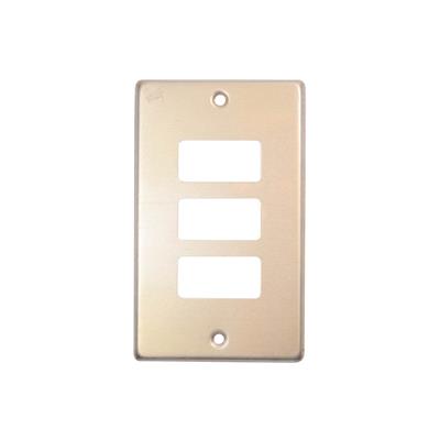 PLACA 3 UNIDAD ORO AL C/CHASIS METALICO