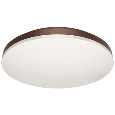 LUM INT/SOB LED 17W 100-240V 60K CHO CEILING 300 MAGG