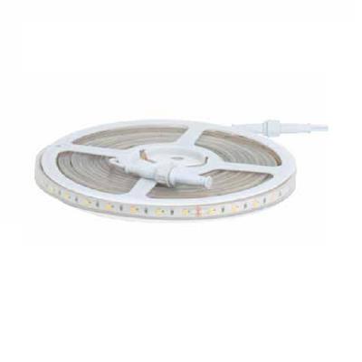 LAMP TIRA FLEX 5050 LED 55W 127V 25K 5MT IP45 TECNOLITE