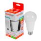 LAMP LED A19 E27 13W 100-127V 65K BCO ATEN TECNOLITE