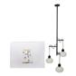 LUM INT SUSP TECHO E27X3 100-240V NGO S/LAMP DIADEM III TECN