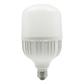 LAMP LED T100 E27 30W 100-240V 65K LICH III
