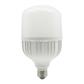 LAMP LED T100 E27 30W 100-240V 65K LICH III