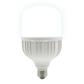 LAMP LED T100 E27 30W 100-240V 65K LICH III