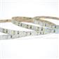 LAMP LED TIRA 12V INT FLEX 2835 SMD LUZ D/DIA TECNOLITE