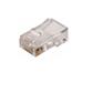 PLUG RJ45 TELEFONO 8H MODULAR